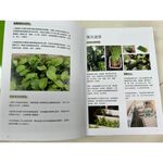 《南門書局》新手陽台種花+種菜+從菜場到餐桌, , large