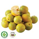 Leopard Cat Orange/bag, , large