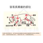 【寵愛生活本舖】PETIO寵物關節輔助支撐帶（中號）四入 派地奧, , large