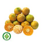 TAP Fremont Tangerine, , large