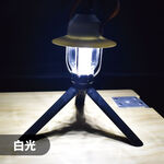 Camping Lantern (Pinecone Style), , large