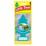 Little Tree, 迷霧雨林, large