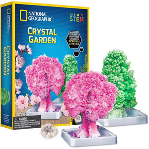 NATIONAL GEOGRAPHIC 國家地理 紙樹開花(水晶花園實驗套組)