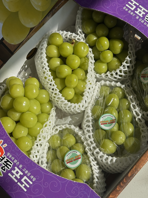 Korean Shine Muscat