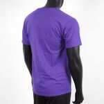 T425-81C, , large
