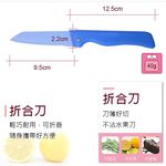 PERFECT 理想牌 極致刀具 切片刀 粉藍 盒裝-Leidea樂德兒, , large