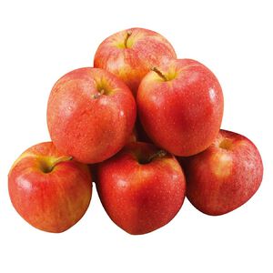 紐西蘭加拉蘋果#120-10入(每粒約120克)