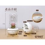 Greenon 永生花香氛機 紅玫瑰 自然風擴香器 香薰減壓 玫瑰花造型 小夜燈, , large