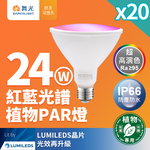 DanceLight 20-pack LED 24W red and blue spectrum plant light PAR light PAR38 growth light E27 plant-specific, , large