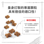 【Royal Canin法國皇家】離乳貓與母貓BC34, , large