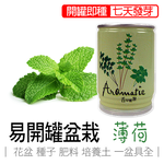 Mint, , large