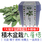 【心安購物】iPlant積木盆栽-九層塔, , large