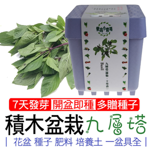 【心安購物】iPlant積木盆栽-九層塔