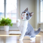 Laser Cat Collar, , large
