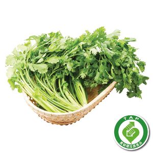 Organic Coriander 30g