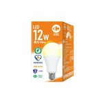 家樂福LED節能標章燈泡12W, , large