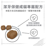 【Royal Canin法國皇家】強效潔牙成貓O30, , large