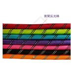 【寵愛生活本舖】尼龍反光寵物牽繩150cm 狗牽繩 牽引繩, , large