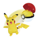 Pokemon, , large