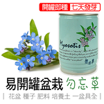 Forget-me-not, , large