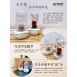 Greenon 永生花香氛機 紅玫瑰 自然風擴香器 香薰減壓 玫瑰花造型 小夜燈, , large