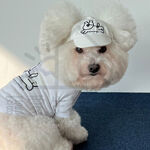 【寵愛生活本舖】INS風寵物刺繡棒球帽S-M 狗狗帽子 貓咪帽子 寵物帽子, , large