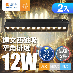 DanceLight舞光 2入組 12W 達文西磁吸 30度窄角排燈(白光/自然光/黃光)