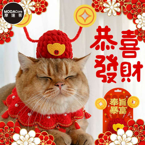 pet clothes