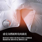 Hilton Light Grey Goose Down Comforter for Winter (180*220CM), , large