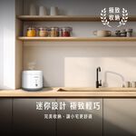 AIWA 愛華 迷你四人份電子鍋 RC-M4, , large