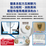 Kobayashi Toilet Bowl Cleaning Powder 110gx2, , large