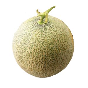 臺灣哈蜜瓜1.5KG/粒