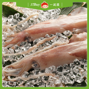 【一起買】野生透抽-1尾入 / 200-300g,  【一起買】野生透抽-1尾入 / 200-300g