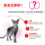 【拉拉寵物小舖】法國皇家 貓飼料 E42 挑嘴成貓營養滿分乾糧 4公斤, , large