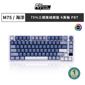 RK 75% 81 key RGB Mechanical Keyboard ( Yellow switches )