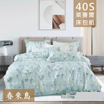 【愛神】40支天絲台灣製造天絲<春來島>加大床包組, , large