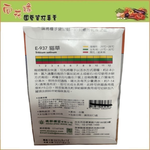 Skystar Cat Grass (Nepeta / Jingjie) &ndash; Herb Seeds, , large