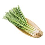 Garlic, , large