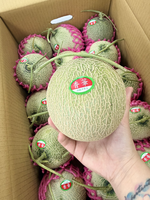 Xiang Hua Melon, , large