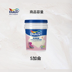 〔得利〕935高效遮蓋水泥漆55802豪灰, , large