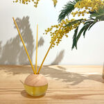 CRISTLINAS SPHERE HOME AIR REFRESHENER(20ML) - MIMOSA, , large