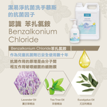 【潔易淨】抗菌洗手慕斯400mlx15瓶x1箱(綿密泡沫 溫和不刺激 薰衣草/茶樹/尤加利), , large