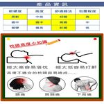 【生活好室】好適羽毛枕 水鳥羽毛枕 枕頭 台灣製造枕頭 天然水鳥羽毛 支撐頭頸 360度包覆 吸濕散熱 床寢 現貨 免運, , large