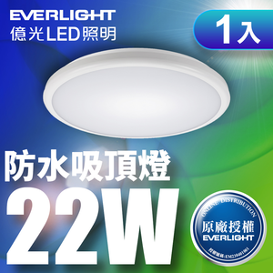 Everlight LED Star 22W full voltage IP65 ceiling light (white light)