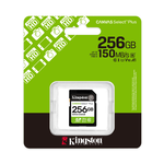 Kingston SD Card, , large