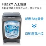 HERAN 14kg Aurora Titanium Strong Series Fully Automatic Washing Machine HWM-1433, , large