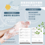 【潔易淨】抗菌洗手慕斯400mlx15瓶x1箱(綿密泡沫 溫和不刺激 薰衣草/茶樹/尤加利), , large