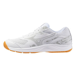 Mizuno Sky Blaster 男女 羽球鞋 寬楦 室內運動 支撐 抗扭 瞬移 白 銀 [71GA253310]