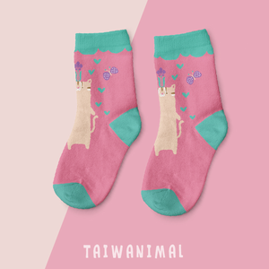 Socks(Tiger Cat)