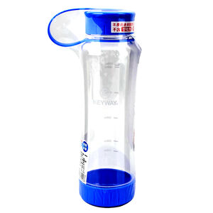 P30650 Sports Water Bottle